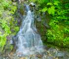 Washington State-Central Cascades-Waterfall-on trail to Annette Lake Landscape Print